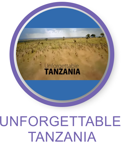 Tanzania Sightseeing 1