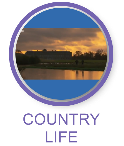 Country Life