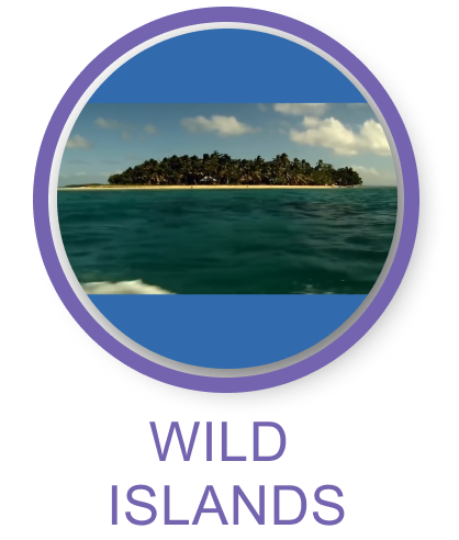 Fiji History 1