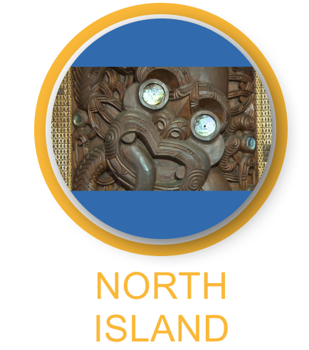 New Zealand Sights 5