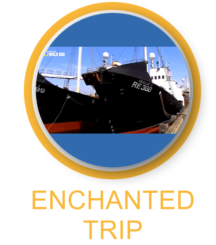 Ecuador Sightseeing 5