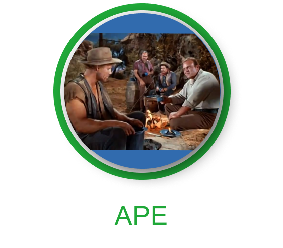 bonanza 3