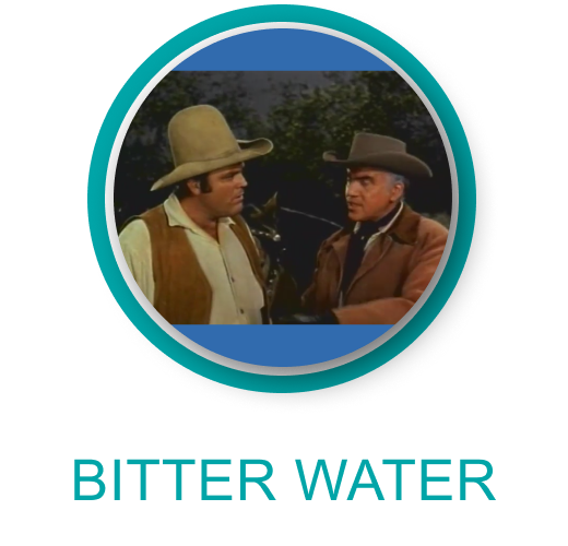 bonanza 6