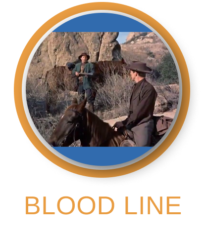 bonanza 8