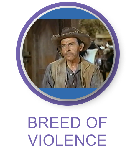bonanza 9